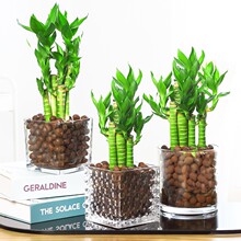 ɻĲBGֲ҃Ȼˮֲ︻F^ˮB