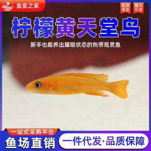 �����S�������B�~̹���Ꭷ�^�pˮ�嵭ˮ������w�~�ݸ�Ⱥ���~����