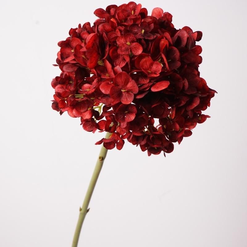 네덜란드 수국 큰 가지 - 빨간색