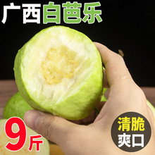 �V�����İŘ���ʯ��ˮ��9�����r�����ЋD����������͘�������]0