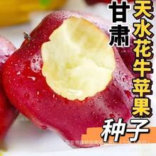 ���C��ˮ��ţ�O���N������Ƥ���۹���ţ�߹��N�ӻ�ţ�߹��냺�N��