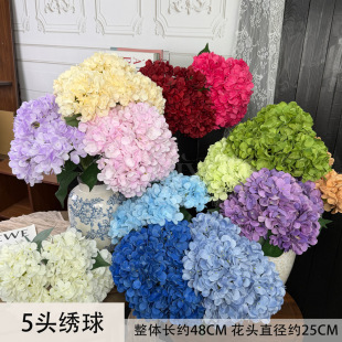 5�^������滨��c��Y���쾰���üٻ���c·�����Ų廨����ٻ�