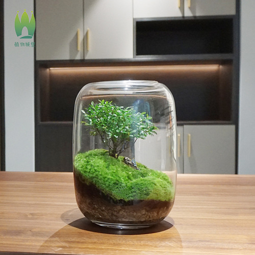 Creative desktop micro landscape vase DIY green plant ecological bottle moss lazy artificial landscape vase modern simple vase