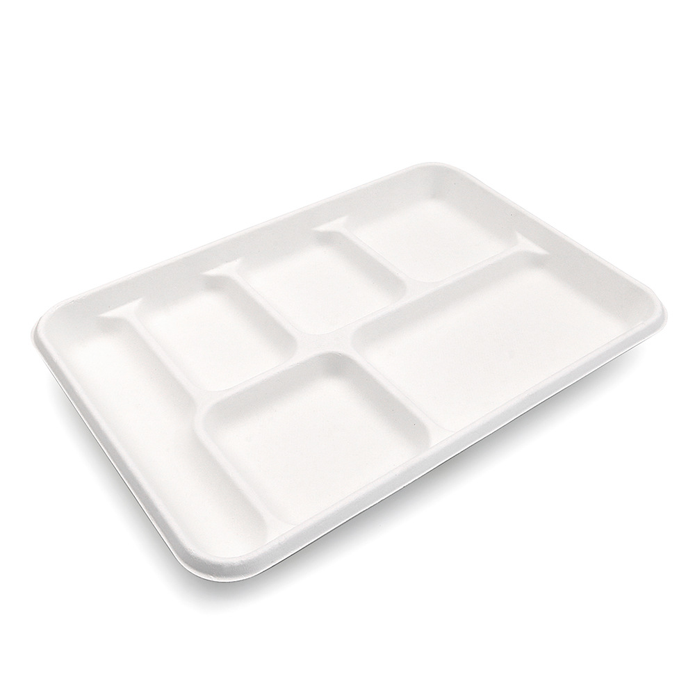 Shaogeng Oasis degradable compostable Hospital escolar desechable bandeja de 6 compartimentos 250 piezas por caja