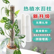 龟背竹蔓绿绒水苔柱可拼接植物攀爬根茎补水热值绿萝爬藤爬柱支架