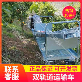 山地索道双轨便携式输送运料机 农作物搬运多功能搬运车