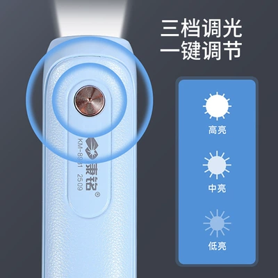 Flashlight Manufacturer Wholesale, UV fənərlər