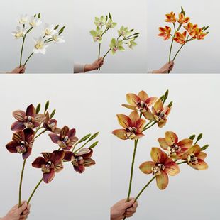 ��ꖷ��滨 3�^��ޥ�m����|���m���^�m��ʽ�ٻ������m��