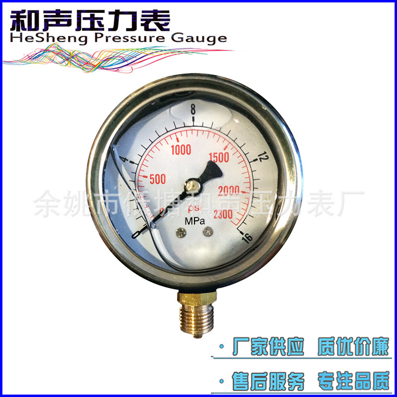 ����������ͨѹ������������������ѹ���� YN63-1MPAҺѹ��