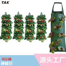 跨境垂直草莓种植袋PE竖款悬挂式立体植物袋育苗袋多口草莓袋