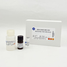 BA1794  ���������绯ø(SOD)�z�yԇ����(�������ӱ�ɫ��)