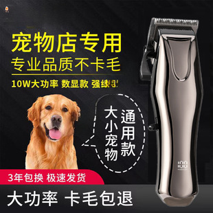 ���I������ë��������Ƽ���ë����Ȯ��������ӌ������؈��