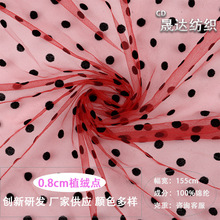 0.8���cֲ�q�W���A�c�W��ͯ�b��̨���B��ȹ�鼆�Y����������