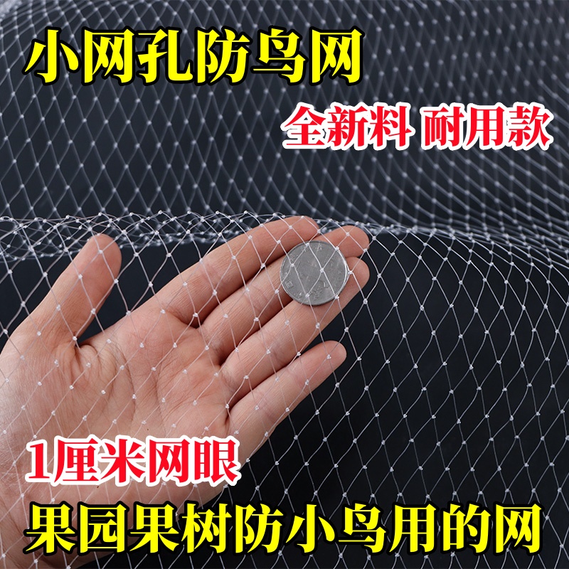 小网孔果树防鸟专用网果园天网尼龙网樱桃嘉宝果防鸟网蔬菜防鸟罩