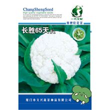 L65ɻ˷N๣СMζҬ߲˷N