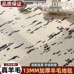 瑞士雪松羊毛地毯客廳2024新款現代大宅法式簡約客廳輕奢高級臥室