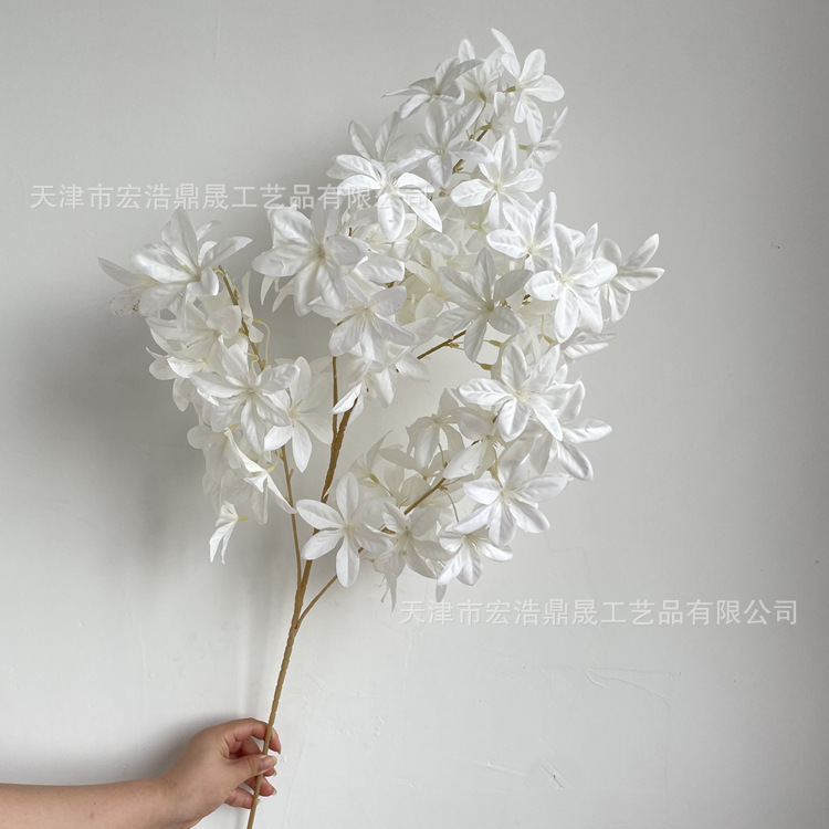 微信图片_202208191624361_副本