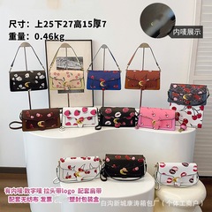 2025新款跨境蔲家女包高级包包女士单肩包斜挎包印花复古包女士包