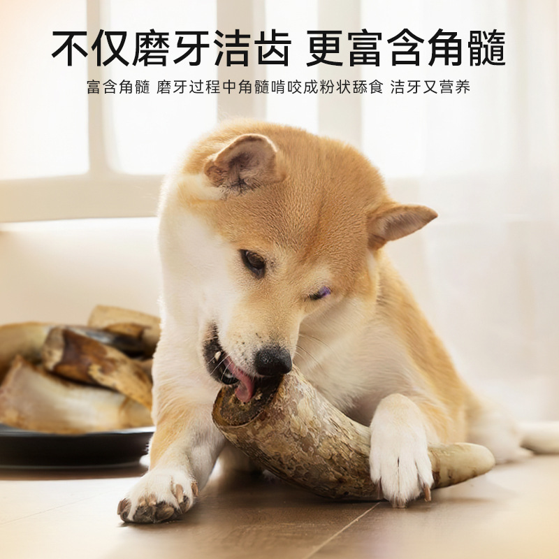 Aperitivos para perros, cuernos, palitos molinos, golden retriever, cría de animales fronterizos, perros grandes, medianos y pequeños, palitos de limpieza de dientes resistentes a las mordeduras, bocadillos para perros de nutrición para mascotas
