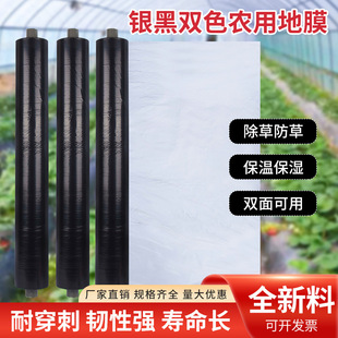 Two-Color Silver-Black Mulch Agricultural Mulch Fruit Orchard Insulation Reflective Greenhouse Film Silver-Gray Moisturizing Silver-Removing Mulch