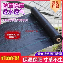 ���ݲ����@�����ڲݲ��w�ݲ�͸��͸ˮ�����Ƭ�����ݲ����s��ȫ�o