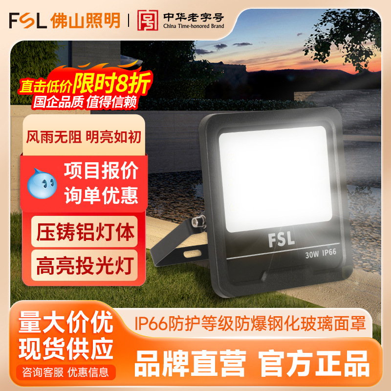 FSL Foshan iluminación LED Luz de inundación al aire libre impermeable lámpara de calle Luz de proyección lámpara de publicidad sitio de construcción lámpara taller reflector