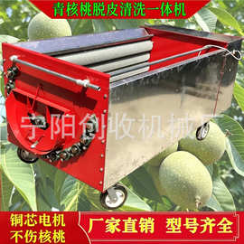 核桃去皮机全自动大型青核桃脱皮机商用青皮核桃剥皮清洗一体机