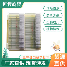 �̌W �@΢�R��Ƭ�˱� ������Ƭ100Ƭ���b��ֲ���d��Ƭ�˱���Ƭ