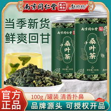 南京同仁堂魅格格霜后桑叶茶新鲜霜打桑叶桑树叶桑葚干养生茶批发