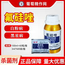 �A�� ���� 400��/��������׷۲���轺��ǲ��S�������rș���l