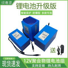 12vポリマーリチウム電池大容量音響充電可能電池太陽電池小体積軽ボルトled監視バッテリ