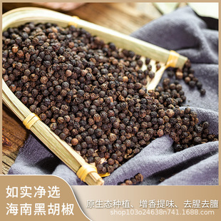 �猍���x���Ϻں���������ʳ�Ã��x���S�{���w��M��n������l