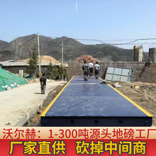 ڵذQ12 80tӰS wY ͺ܇