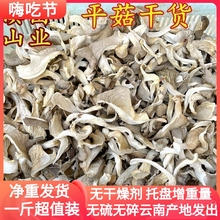 平菇干货250克装云南山珍香菇煲汤食材山珍凤尾菇食用农产品