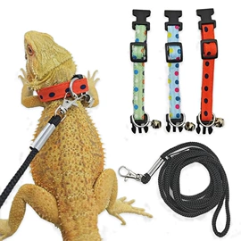 其他小宠用品;其他小宠;兔子