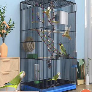 �B�\�����W�^���B�\��̖�ش�Ƥ���P�\ĵ�����A�e���\�Ӽ���