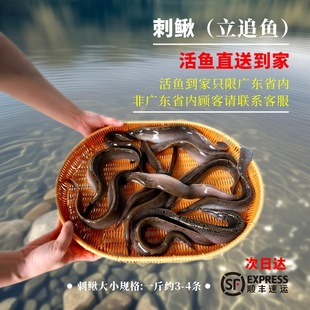 ���A���q��׷�~���~������q���qʯ�F�i��䏌���������r�ˮ