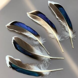 �F؛���ldiy��ë��Ȼ��ë������ë�Ʒ���^��Ұ����ë��ë����ë