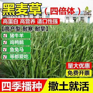 �M�ڶ����������ݷN��С���ļ������u���Z�iţ���~���ͺ����ݷN��