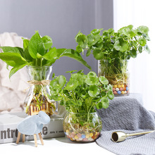 ˮ��ֲ���~�X�������҃������ļ�ˮ�B�����k���Һ��B��Gֲ���X��