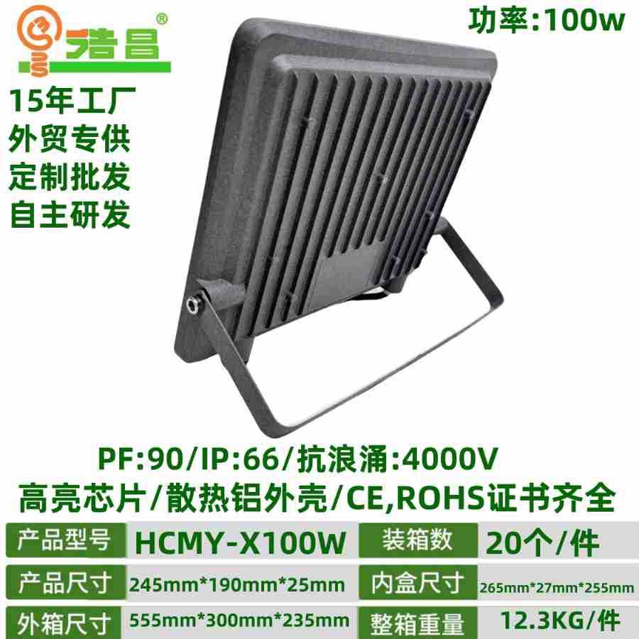 100W主图-2.jpg