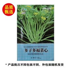 ���Ӷ��O���������̦о�N�Ӱײ�̦�N���r���߲˷N��