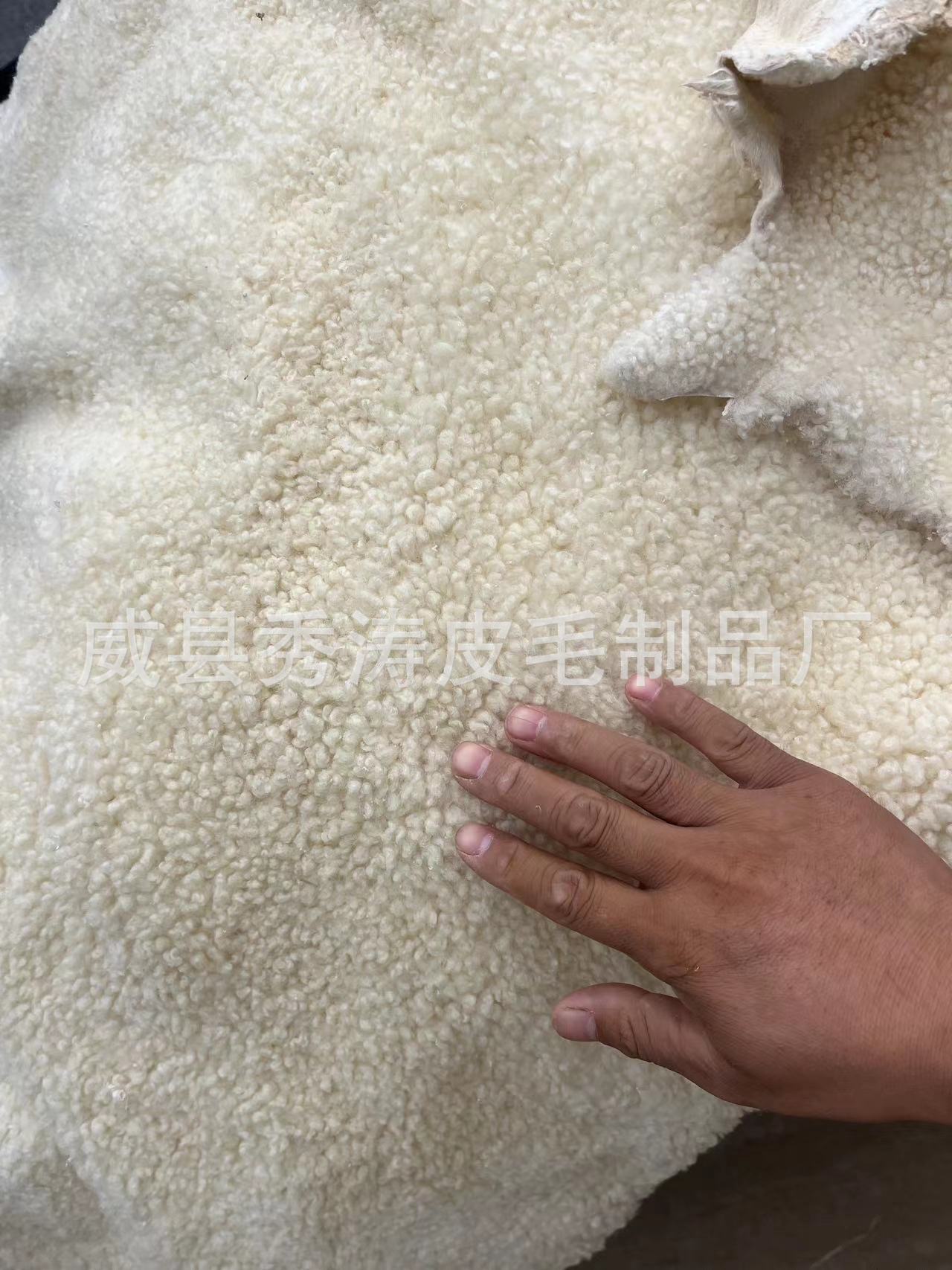 微信图片_20240902121444