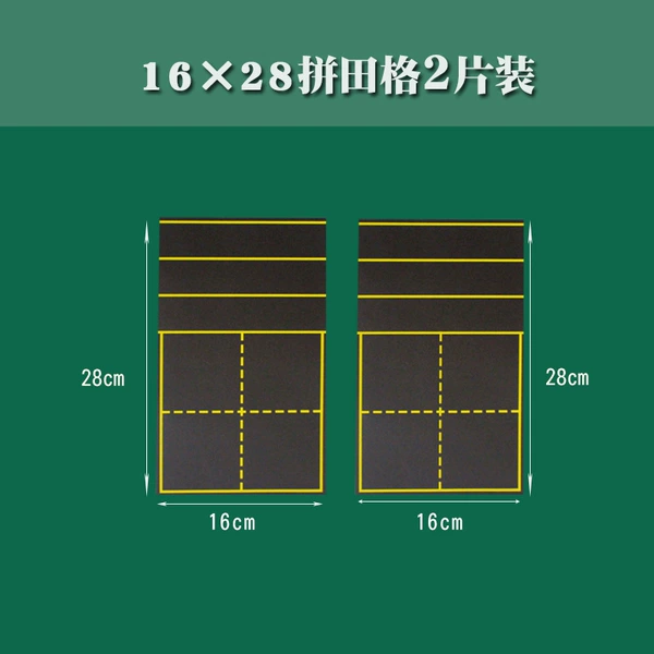 16 × 28 Pin Temple 2 tablets