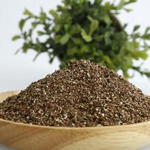 ��ʯ�������B���àI�B���l��������|����������Ǥ��ִ��w������