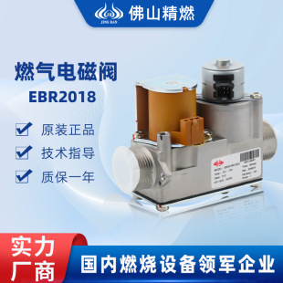 ��ȼ��Ȼ��ȼ���y늴��y���ܱڒ�t���ERCO EBR2018010302