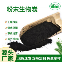 }|،̿ ׽ն̿{}|pHظ Դ^S