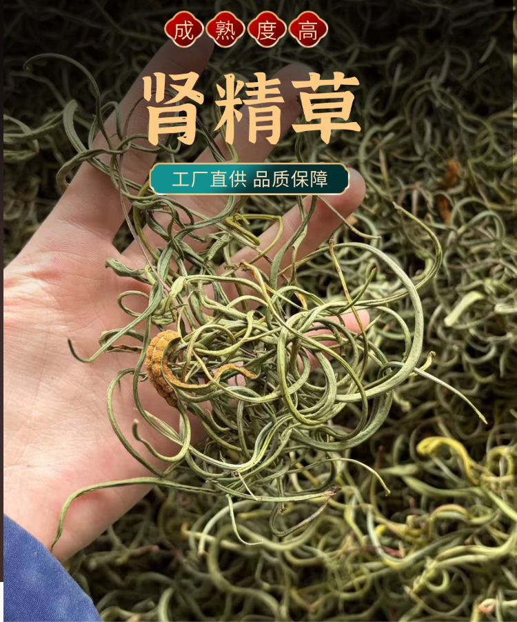 Shen Jing Cao Dried Herbal Root Sweet Grass Aroma 250g Home Use overview