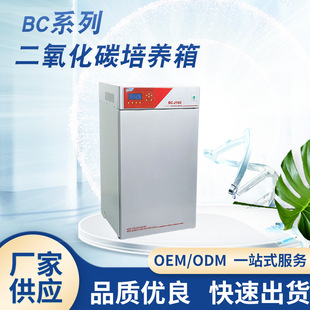 BC-J250(���׼t��)����Ҷ�����̼���B�会���M������Ҍ���