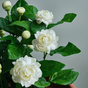 ���^�������l�󻨝������������҃Ȼ���ֲ������՚⎧�����l؛